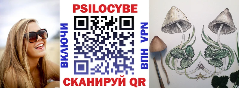 магазин продажи   mega онион  дарк нет какой сайт  Черногорск  Псилоцибиновые грибы прущие грибы 
